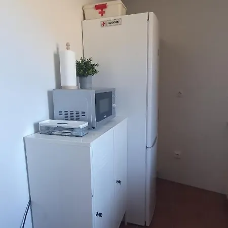 Chalet T-rex